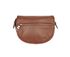Loewe Sling Bag, back view
